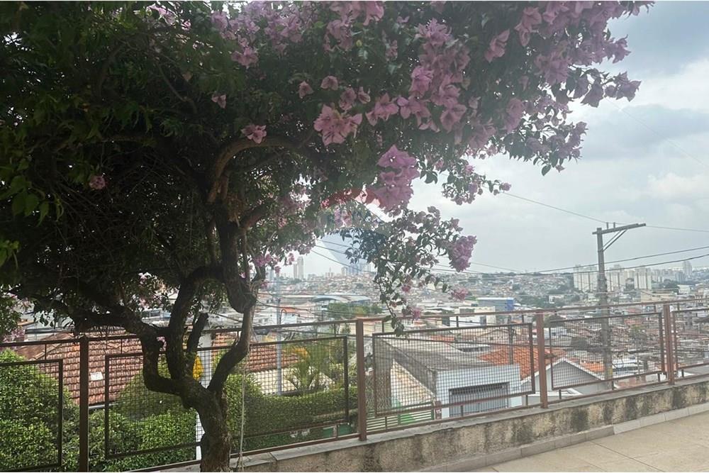 Sobrado - Venda - São Paulo , São Paulo - WhatsApp Image 2025-12-02 at 16.19.34 (6).jpeg - 601311076-2