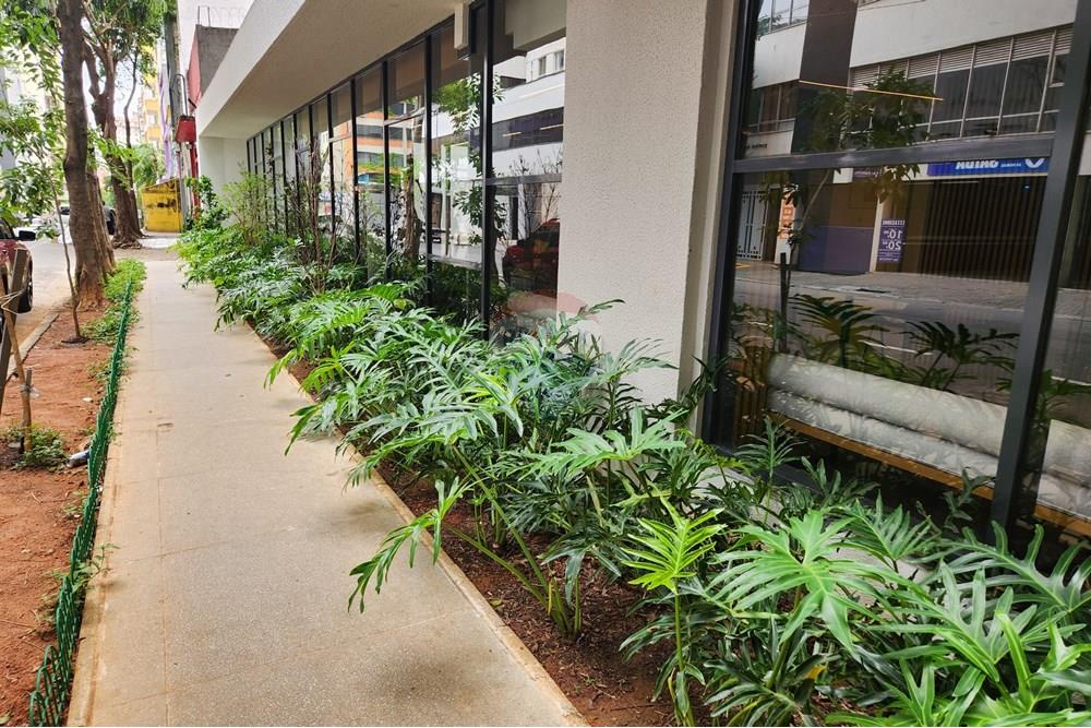 Apartamento - Alugar - São Paulo , São Paulo - 20251218_095536.jpg - 601081096-12