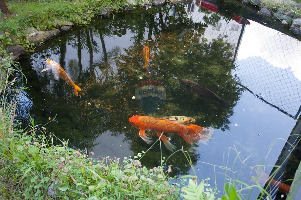 Apartamento - Venda - São Paulo , São Paulo - IMG_2012.jpg - 602331034-27