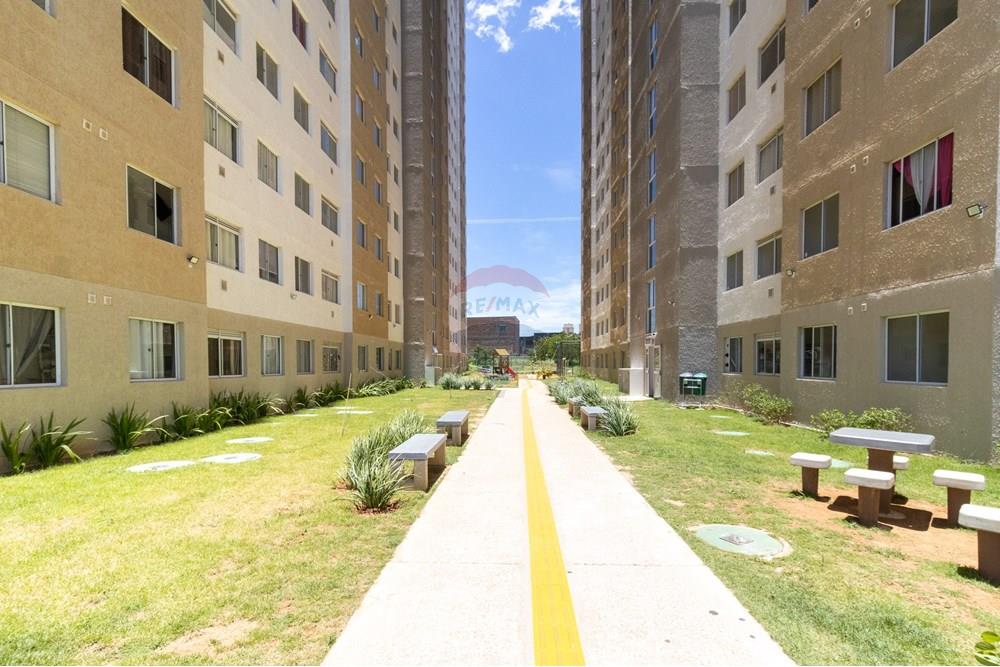 Apartamento - Venda - São Paulo , São Paulo - IMG_5223.jpg - 601771093-77