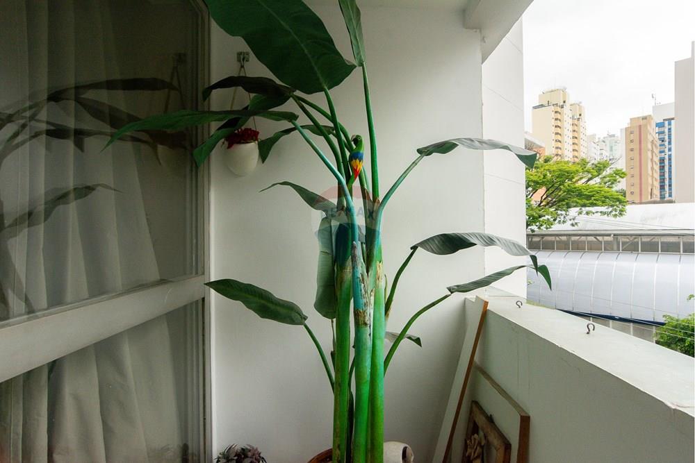 Apartamento - Venda - São Paulo , São Paulo - 01fotos_003.jpg - 601181010-72