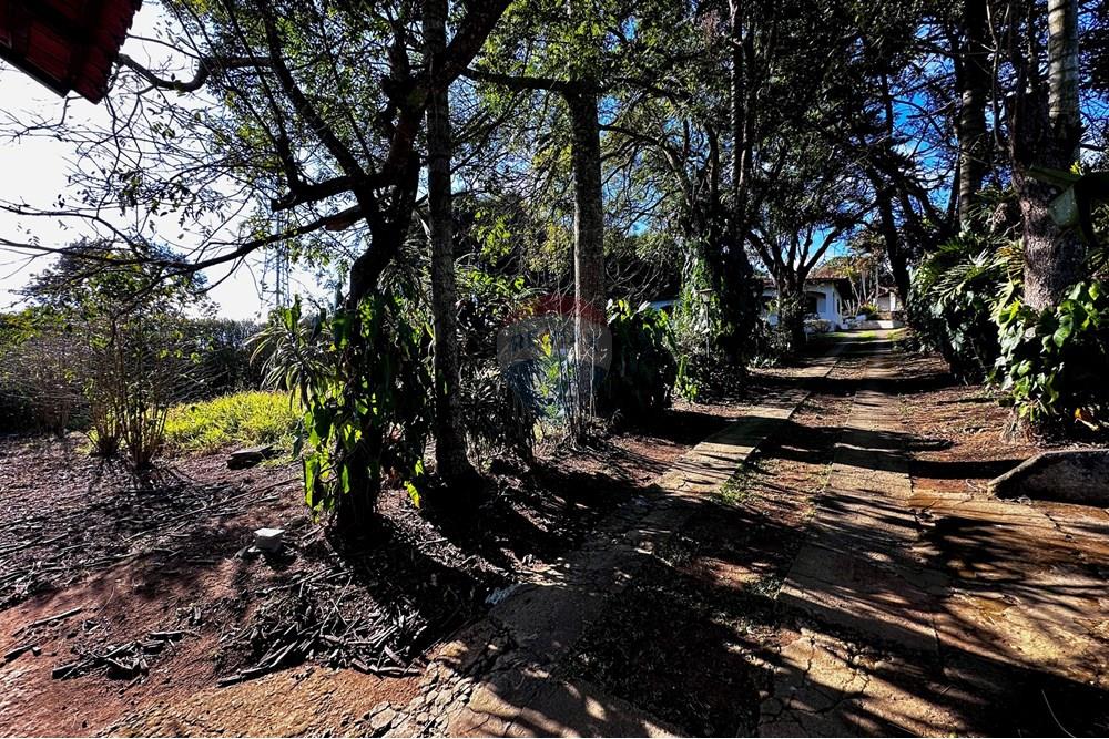 Casa - Venda - Cotia , São Paulo - IMG_8982.jpg - 602331010-36