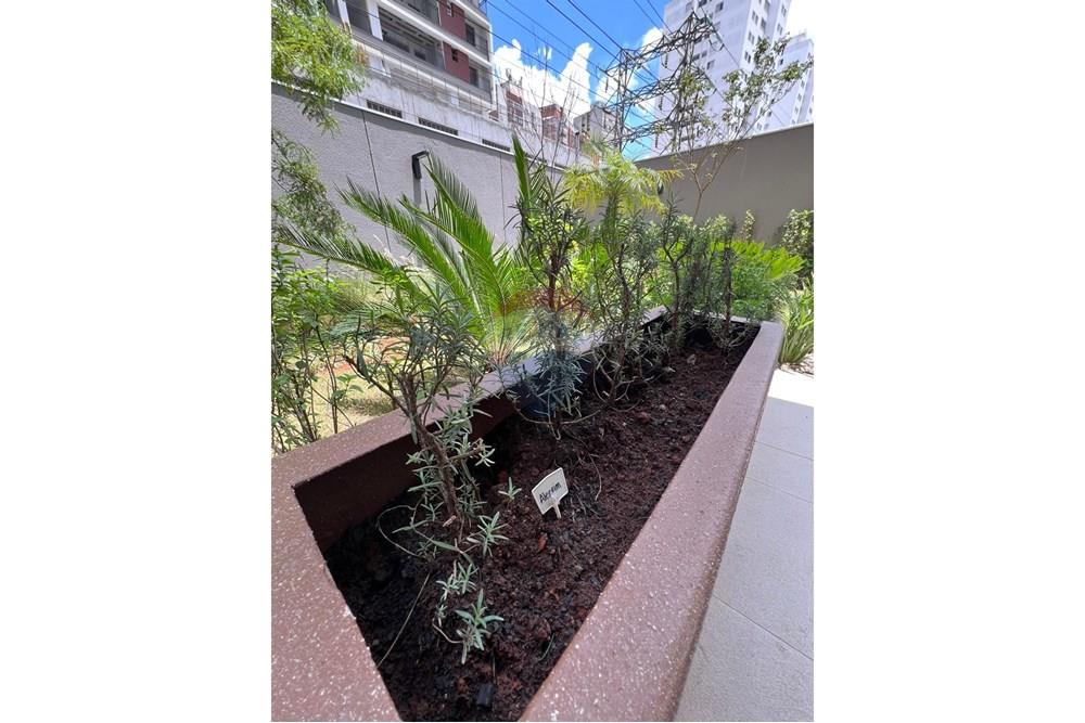 Apartamento - Alugar - São Paulo , São Paulo - WhatsApp Image 2025-11-03 at 17.46.19 (1).jpeg - 602101048-10