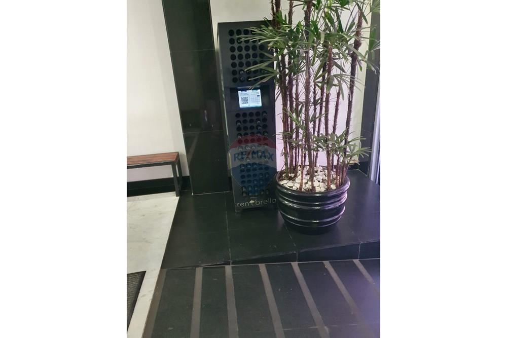 Apartamento - Alugar - São Paulo , São Paulo - WhatsApp Image 2025-09-27 at 15.10.54.jpeg - 601991054-73