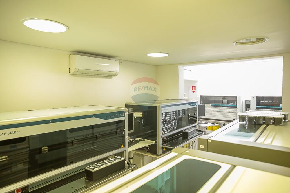 Casa Comercial - Alugar - São Paulo , São Paulo - THI_2489.jpg - 601971016-548