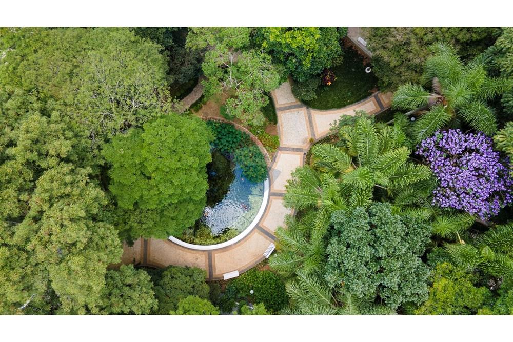 Apartamento - Venda - São Paulo , São Paulo - 57-DJI_0973.jpg - 601241007-55