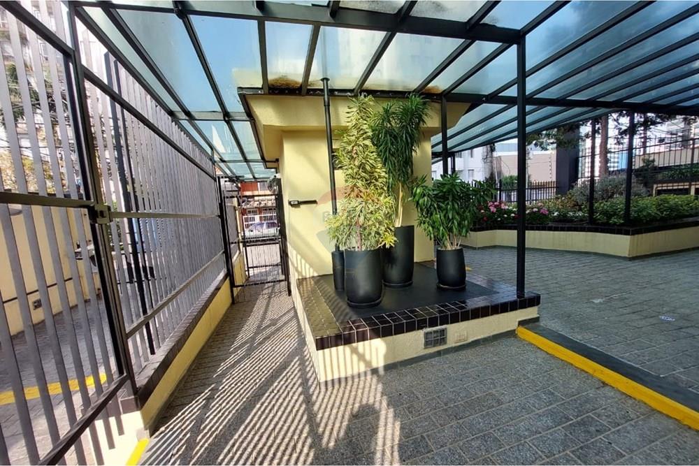 Apartamento - Alugar - São Paulo , São Paulo - WhatsApp Image 2025-09-08 at 15.27.44.jpeg - 602161018-40