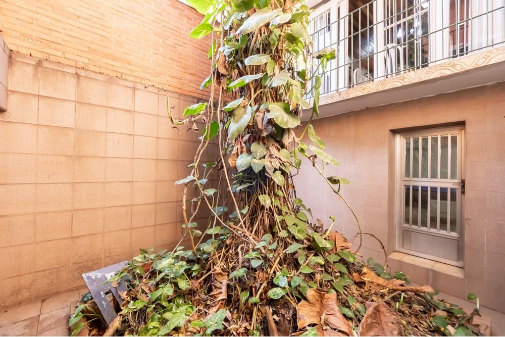 Casa - Venda - São Paulo , São Paulo - IMG_299045.jpg - Jardim Interno - 602161016-20