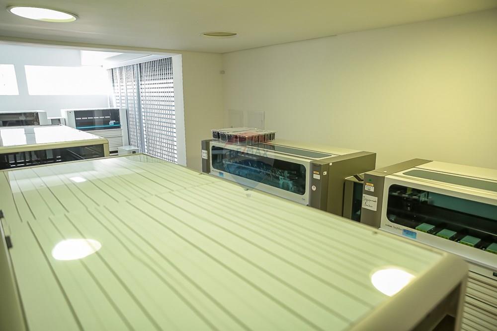 Casa Comercial - Alugar - São Paulo , São Paulo - THI_2490.jpg - 601971016-548