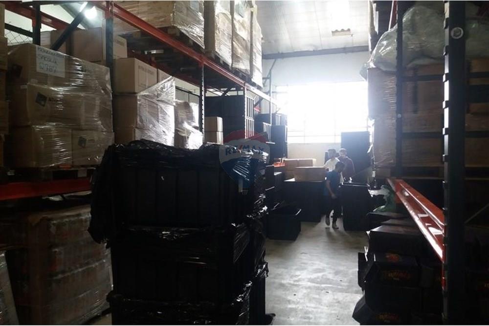 Galpão - Alugar - São Paulo , São Paulo - 23.jpeg - 602291021-242