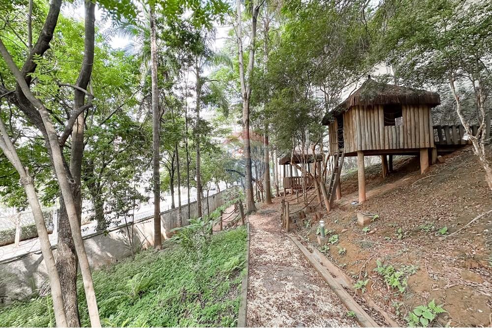 Apartamento - Venda - São Paulo , São Paulo - IMG_699633.jpg - 601721006-77