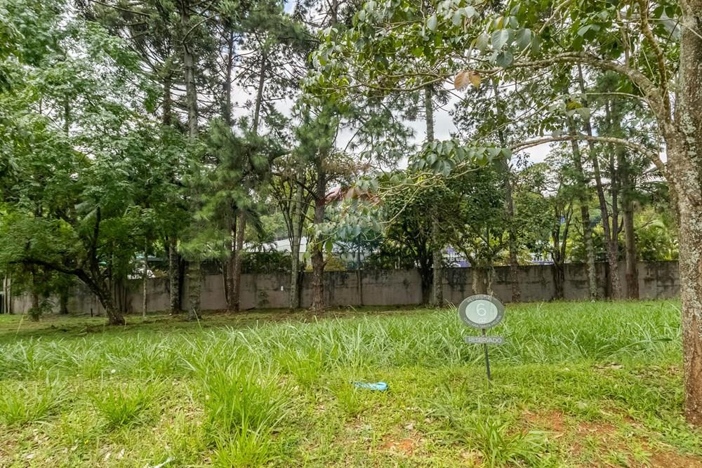 Terreno - Venda - São Paulo , São Paulo - Cópia de IMG_655433.jpg - Pátio interno - 601131046-23