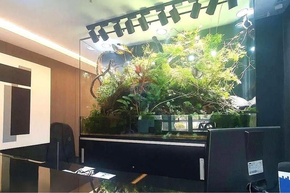 Cj. Comercial/ Sala - Alugar - São Paulo , São Paulo - 14.jpeg - 602291016-375