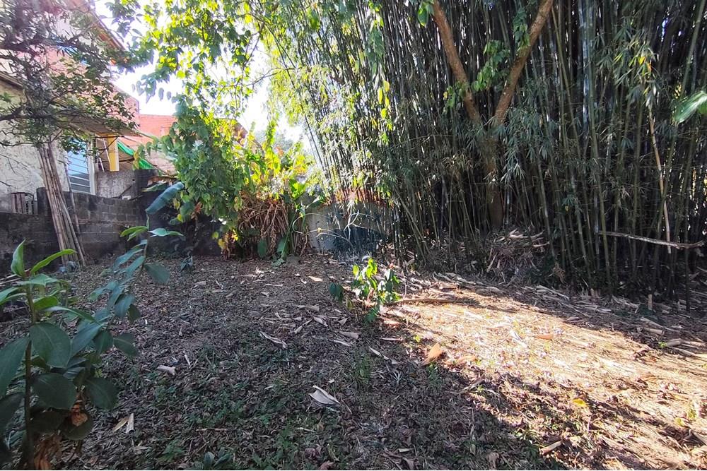 Terreno - Venda - Ferraz de Vasconcelos , São Paulo - IMG_20250918_150251.jpg - 601451005-109