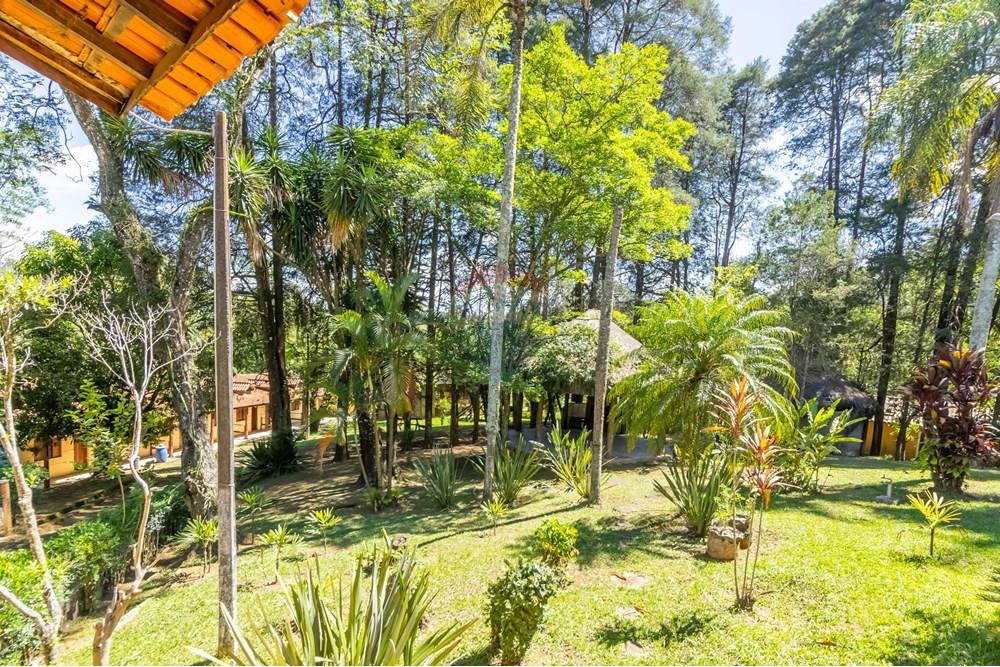 Chácara / Sítio / Fazenda - Venda - São Roque , São Paulo - 29.jpg - 602181038-458