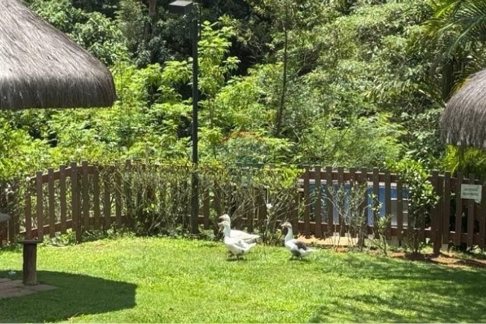 Apartamento - Alugar - São Paulo , São Paulo - 64.jpg - 601361021-1760