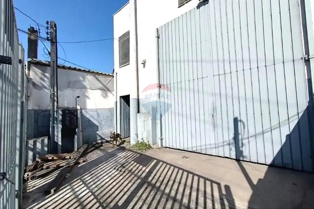 Galpão - Alugar - São Paulo , São Paulo - 3.jpeg - 602291016-367