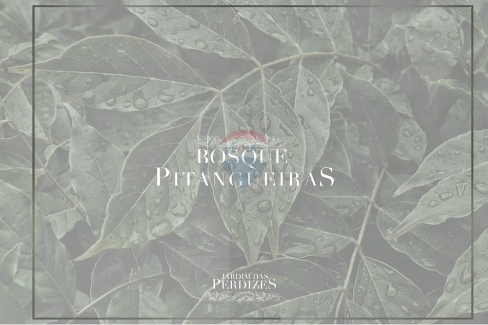 Apartamento - Venda - São Paulo , São Paulo - WhatsApp Image 2025-07-17 at 07.56.24 (2).jpeg - 602341004-30