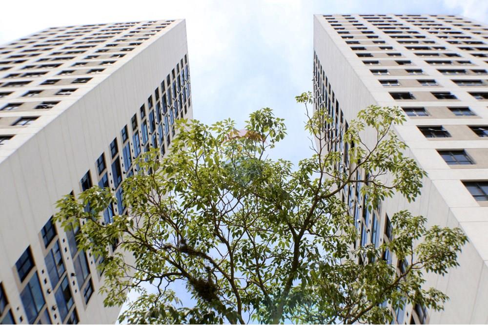 Apartamento - Venda - São Paulo , São Paulo - 39340c3d-593f-405b-9334-a12c48bc7252.jpeg - 601251281-1