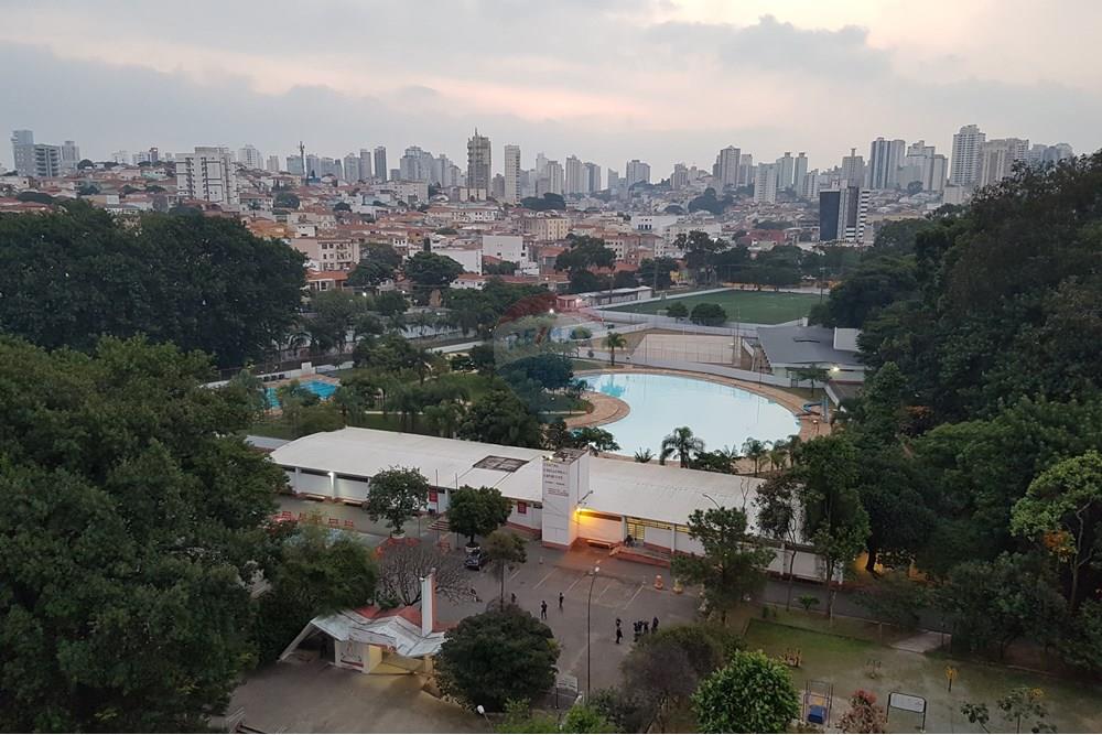 Apartamento - Alugar - São Paulo , São Paulo - 11b4e5ea-0ccd-4c5d-acc8-3dd5669df693.jpg - 601051085-6