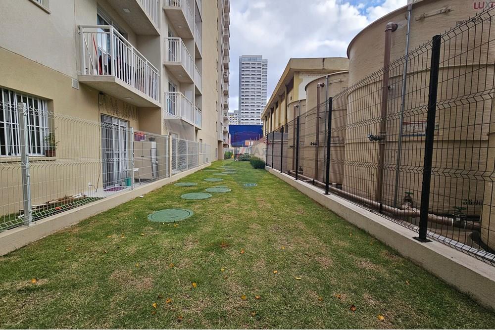 Apartamento - Alugar - São Paulo , São Paulo - 20251204_164414.jpg - 601471003-203