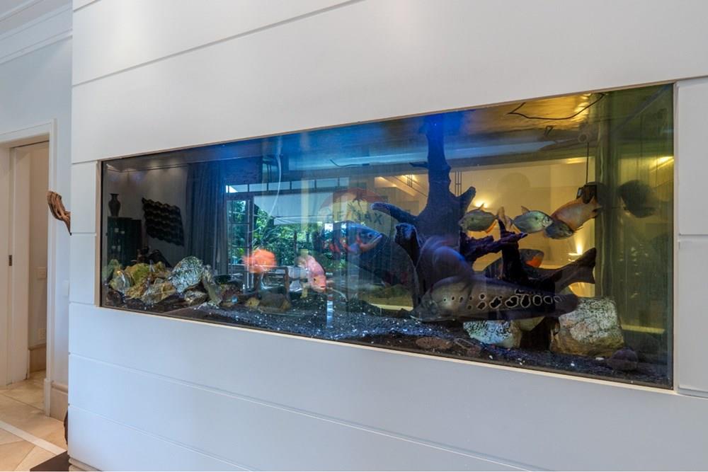 Casa - Venda - São Paulo , São Paulo - 010-07520bd4-29be-4ab5-9c43-4beab407c437.jpeg - 601251009-59