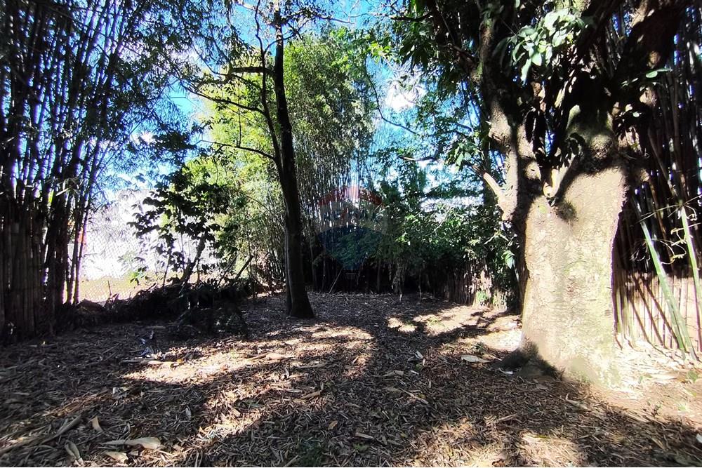 Terreno - Venda - Ferraz de Vasconcelos , São Paulo - IMG_20250918_145958.jpg - 601451005-109