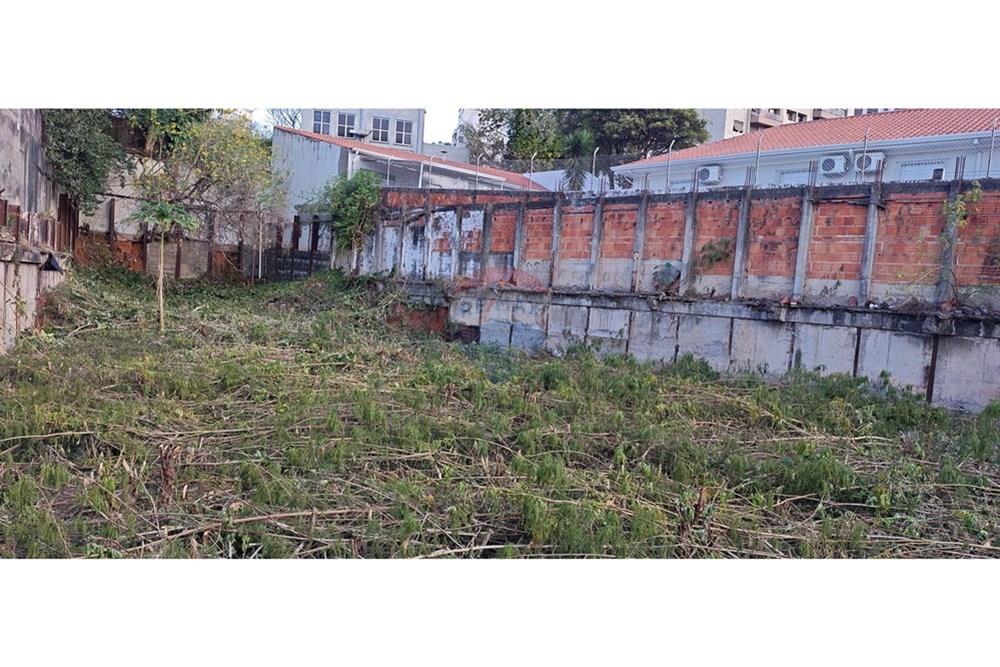 Terreno - Venda - São Paulo , São Paulo - IMG_20250901_161808537.jpg - 601141083-115