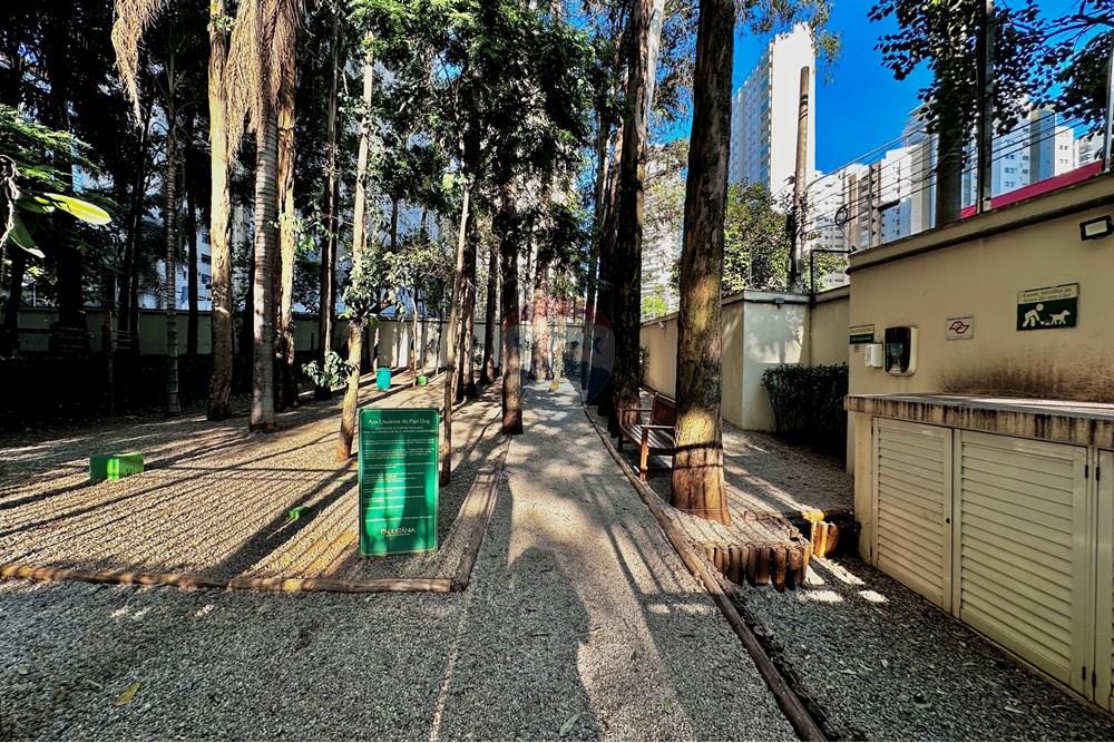 Apartamento - Alugar - São Paulo , São Paulo - IMG_5287.jpg - 602321003-63