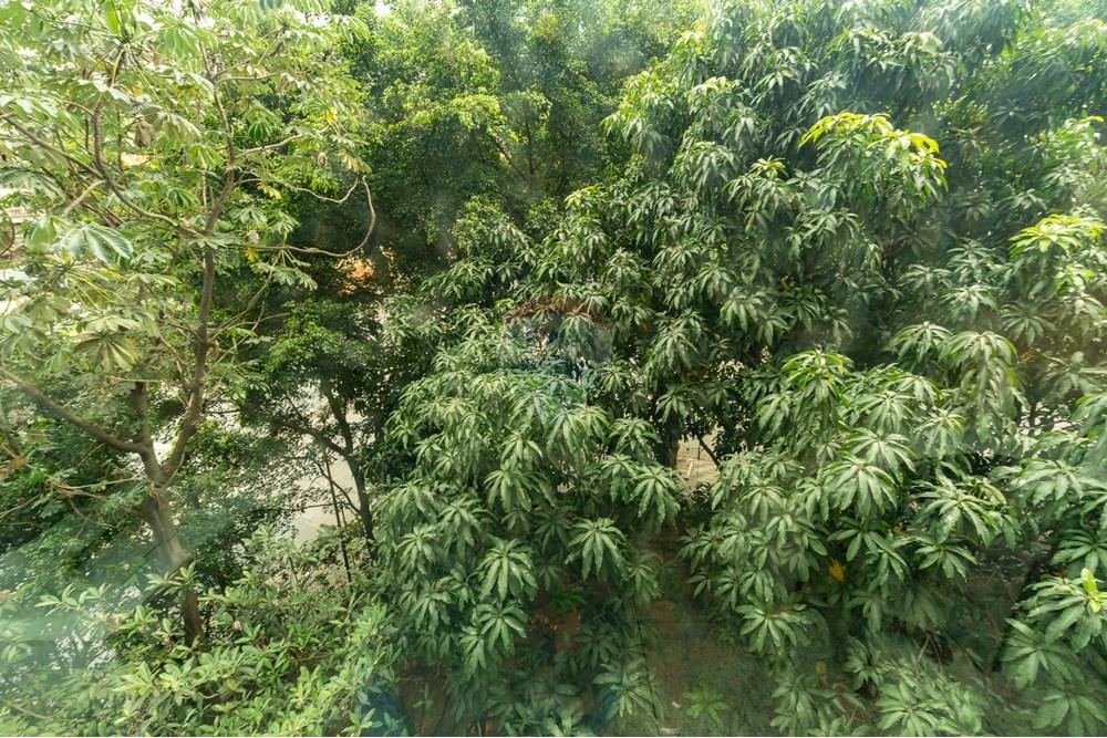 Cj. Comercial/ Sala - Venda - São Paulo , São Paulo - 19-SC.jpg - 601471009-109