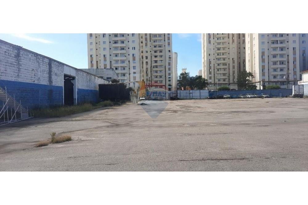 Terreno - Alugar - São Paulo , São Paulo - 4584140458.jpg - 602291016-195