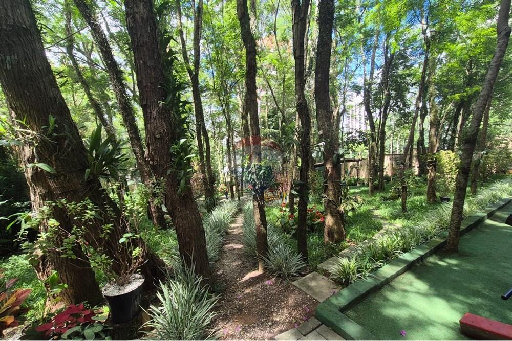 Apartamento - Alugar - São Paulo , São Paulo - WhatsApp Image 2026-02-12 at 11.13.23.jpeg - 602071015-13