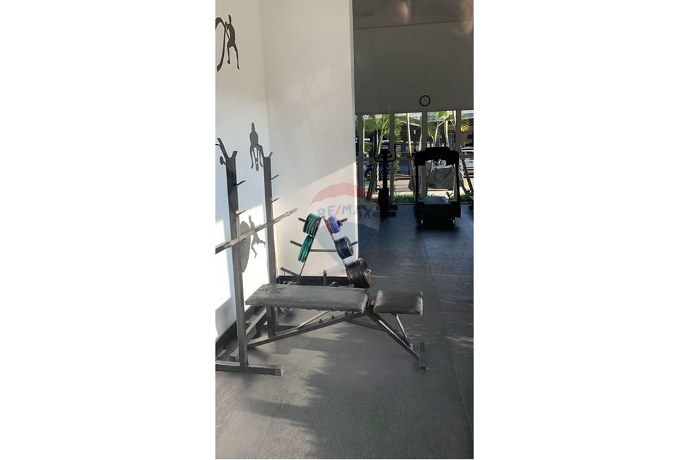 Apartamento - Alugar - São Paulo , São Paulo - WhatsApp Image 2025-11-10 at 18.29.56 (1).jpeg - 601451035-12