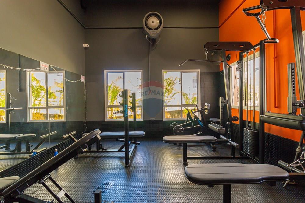 Apartamento - Alugar - São Paulo , São Paulo - 01area-condominial_007.jpg - 601421022-24