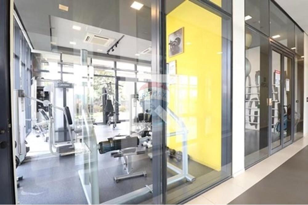 Apartamento - Alugar - São Paulo , São Paulo - imgi_13_L_6542e8b5-18c5-4cd6-b6b5-d0c39606c502.jpg - 602141065-61