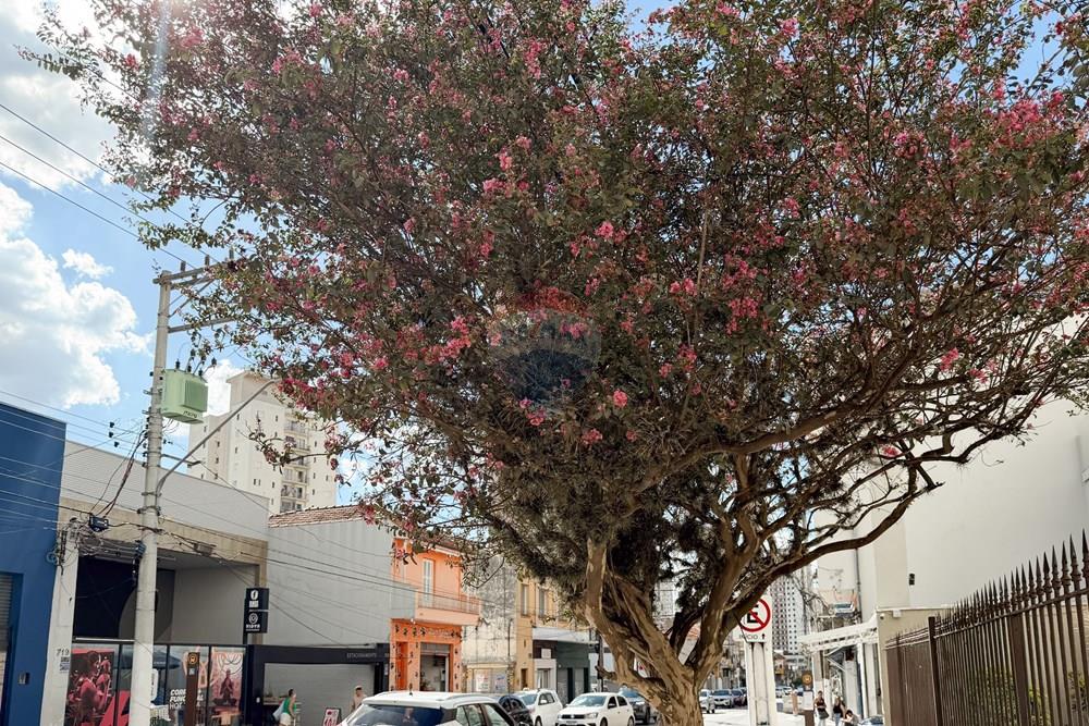 Apartamento - Venda - São Paulo , São Paulo - APTO115-100.jpg - 602441004-10