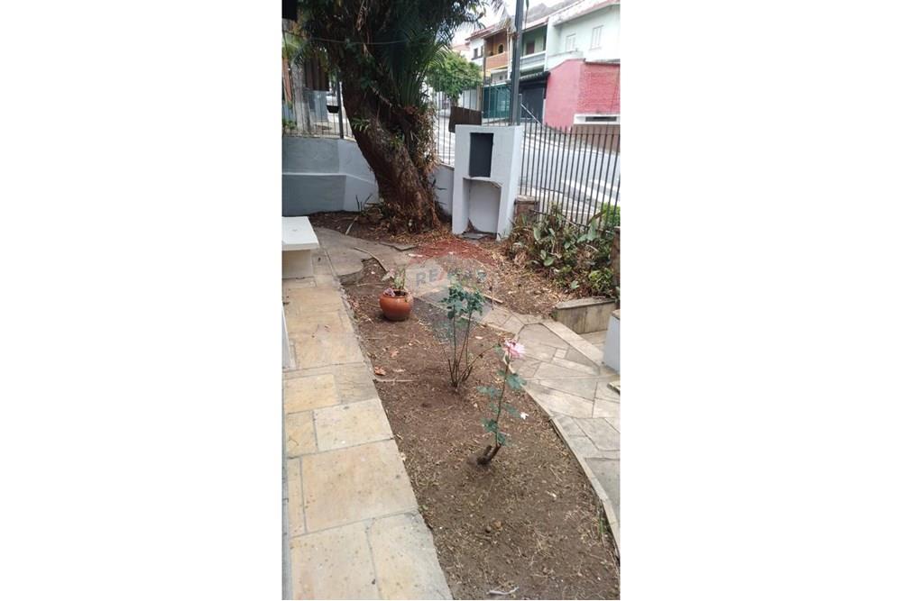 Casa - Alugar - São Paulo , São Paulo - WhatsApp Image 2025-11-19 at 13.17.12 (1).jpeg - 601971016-530