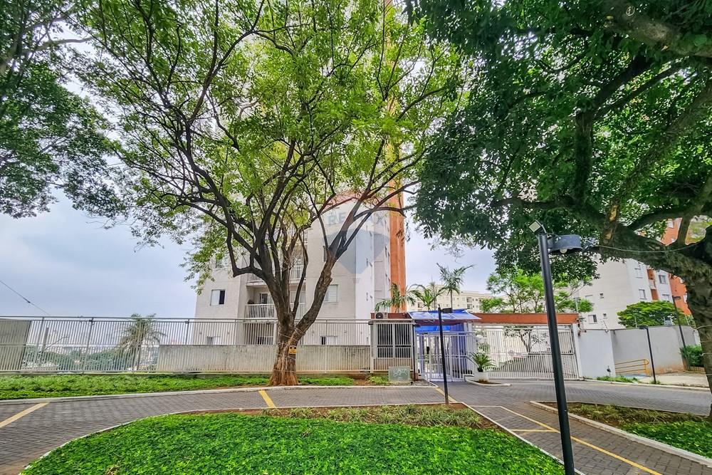 Apartamento - Venda - São Paulo , São Paulo - 20251219_10053401 (1).jpg - 602201028-14