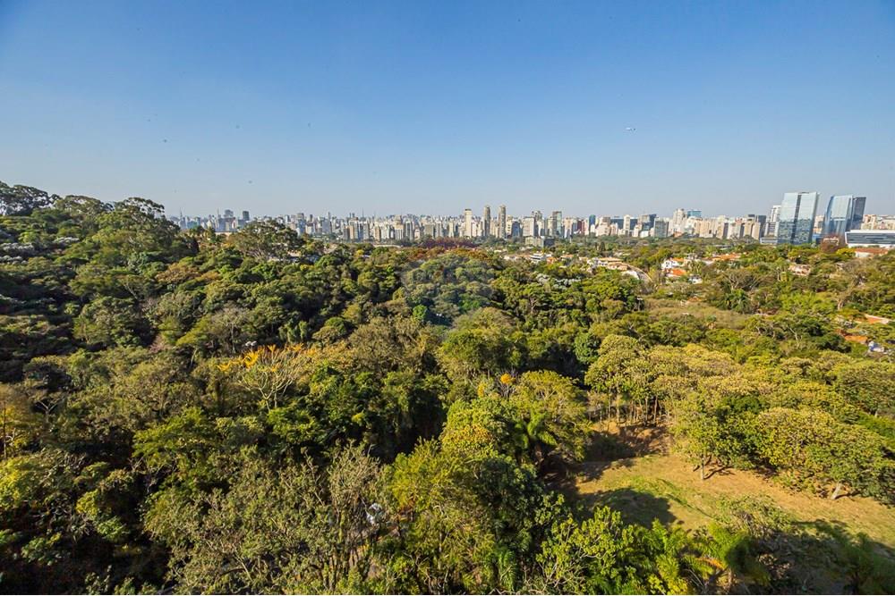 Apartamento - Venda - São Paulo , São Paulo - 33.JPG - Layout aberto - 601081007-106