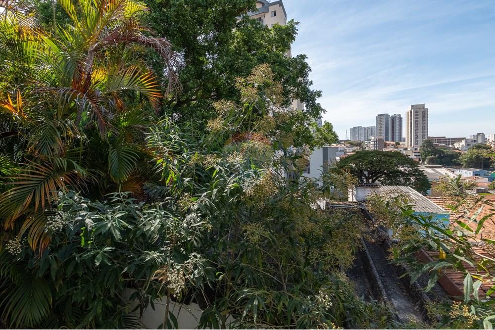 Terreno - Venda - São Paulo , São Paulo - 34_CS.jpg - 601471004-419