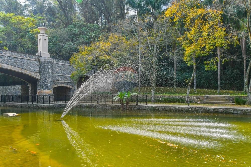 Apartamento - Alugar - São Paulo , São Paulo - 1739388809968-foto_23.jpeg - 602321003-89