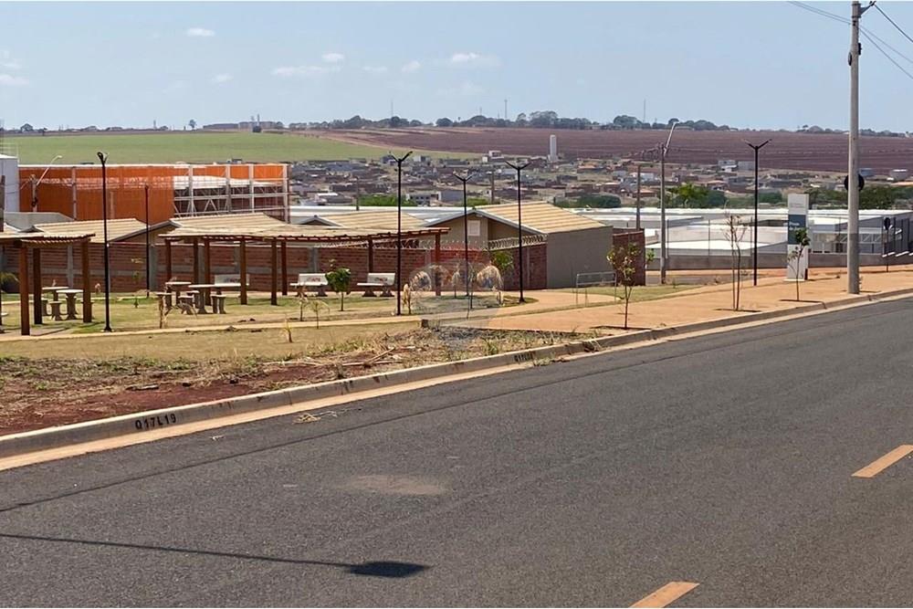 Terreno - Venda - Cravinhos , São Paulo - Lote_terreno_a_venda_terras_de_cravinhos (1).jpg - Jardim Interno - 601251261-46