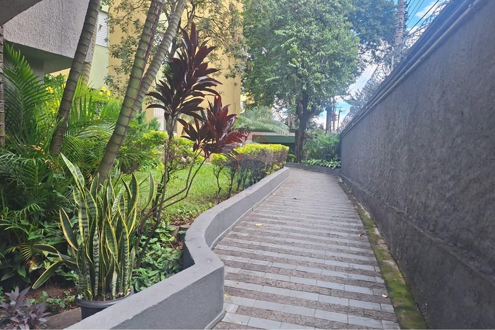 Apartamento - Alugar - São Paulo , São Paulo - c8b047c9-f89d-4d00-b3b4-df40ae3aa9a3.jpg - 601751067-133