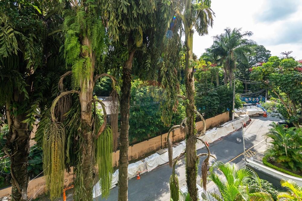 Apartamento - Alugar - São Paulo , São Paulo - AP-15.jpg - 601971014-223