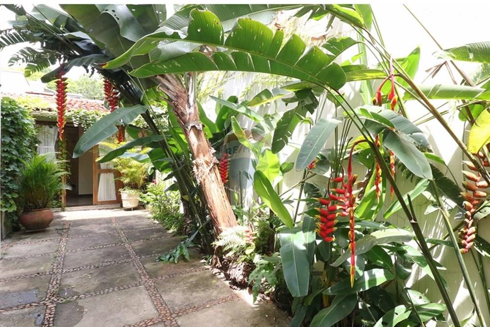 Casa de Vila - Alugar - São Paulo , São Paulo - RUA CLAUDINA SILVA, 67 (55).jpg - 601361003-190