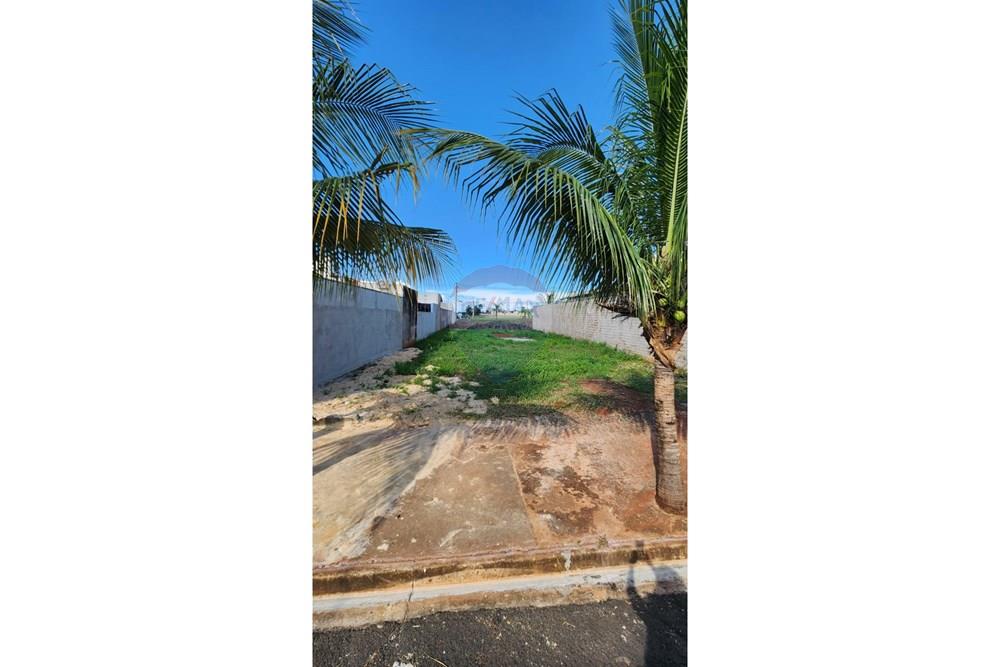 Terreno - Venda - Jaboticabal , São Paulo - WhatsApp Image 2026-03-13 at 09.07.14 (2).jpeg - 601251016-107