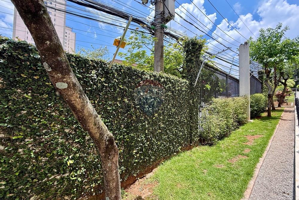 Apartamento - Venda - São Paulo , São Paulo - IMG_2462.jpg - 602331019-90