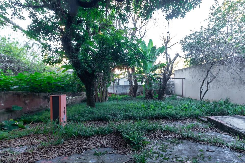 Casa Comercial - Venda - São Paulo , São Paulo - IMG_484844.jpg - 601461005-132