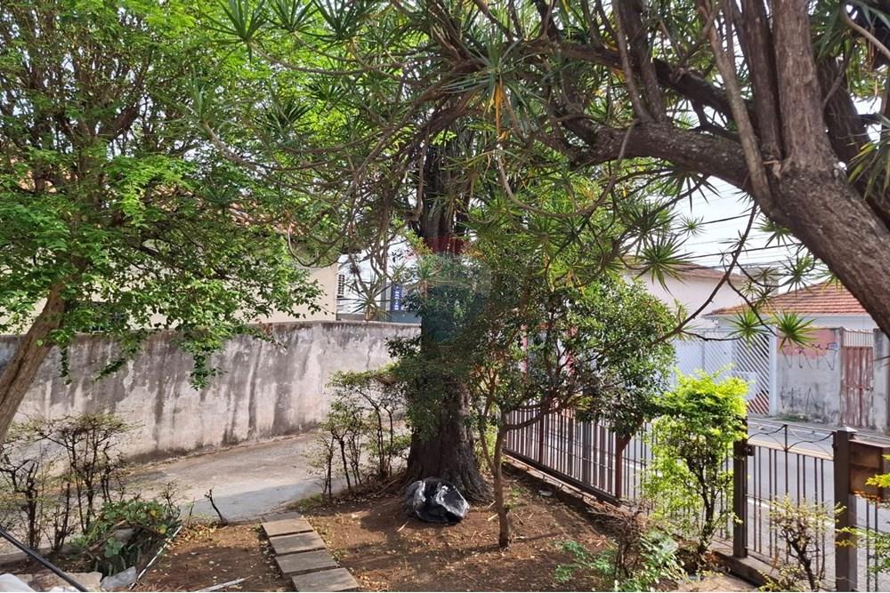 Terreno - Venda - São Paulo , São Paulo - 4.jpg - 602291016-216