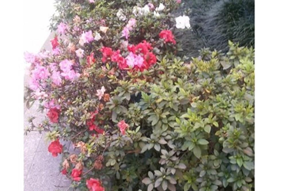 Apartamento - Alugar - São Paulo , São Paulo - e0c345c6-6cb0-4cb5-a0b5-ad7586e71f5f.jpg - 601461002-82